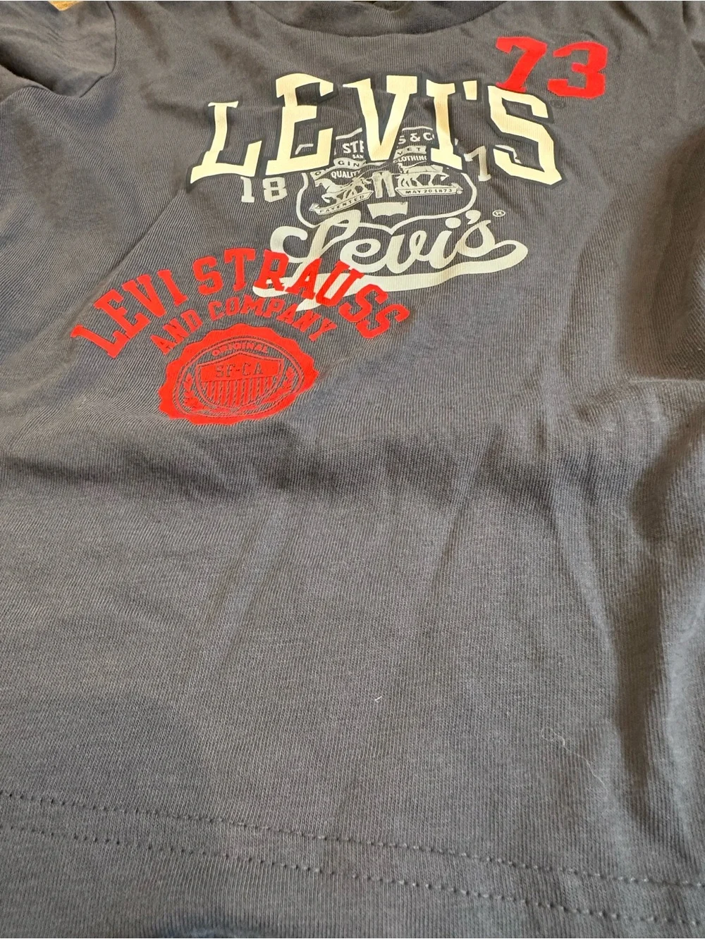 Levi's Navy Blue Graphic Tee & Light Blue Shorts Set Kids Toddler 4T Boys